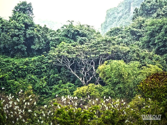 Những điểm đến nổi bật cho dân phố du ngoạn dịp cuối tuần ảnh 3